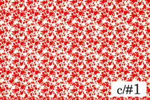 画像をギャラリービューアに読み込む, MCS10002 ミニダルメシアン 1