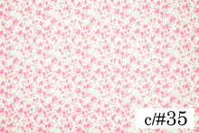 画像をギャラリービューアに読み込む, MCS10002 ミニダルメシアン 35