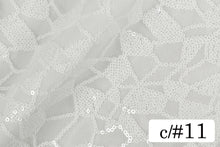 画像をギャラリービューアに読み込む, CSP087 ジラフスパン 11