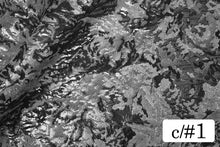 画像をギャラリービューアに読み込む, CSP177 ランドスライドジャガード 1