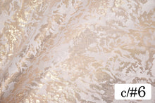 画像をギャラリービューアに読み込む, CSP177 ランドスライドジャガード 6