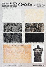 画像をギャラリービューアに読み込む, CSP177 ランドスライドジャガード 5