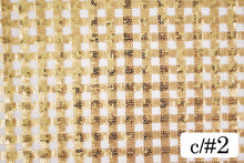 画像をギャラリービューアに読み込む, CSP180 ギンガムチェックスパン 2