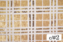 画像をギャラリービューアに読み込む, CSP181 タータンチェックスパン 2