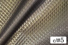 画像をギャラリービューアに読み込む, CSP185 ローゼンジジャガード 5