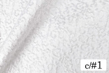 画像をギャラリービューアに読み込む, CSP244 ぺタルトループ 1