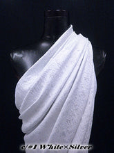 画像をギャラリービューアに読み込む, CSP245 メルティン 1