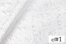 画像をギャラリービューアに読み込む, CSP245 メルティン 1