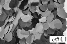 画像をギャラリービューアに読み込む, CSP273 ルナ 4