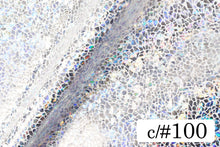画像をギャラリービューアに読み込む, CSP287 ツーウェイステンドグラスフォイル 100