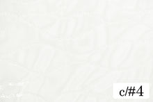 画像をギャラリービューアに読み込む, CSP295 チュールスパンウェイビー 4