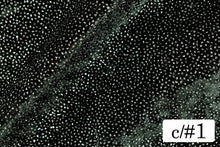 画像をギャラリービューアに読み込む, CSP311 ラッシュブラック 1