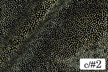 画像をギャラリービューアに読み込む, CSP311 ラッシュブラック 2