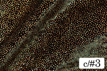 画像をギャラリービューアに読み込む, CSP311 ラッシュブラック 3