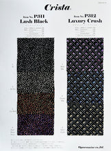 画像をギャラリービューアに読み込む, CSP311 ラッシュブラック 2