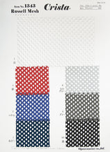 画像をギャラリービューアに読み込む, CS1343 ラッセルメッシュ 5