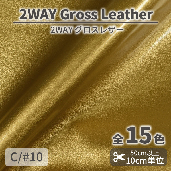 CS1010　2WAYグロスレザー　10