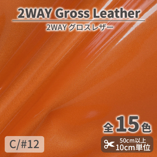 CS1010　2WAYグロスレザー　12