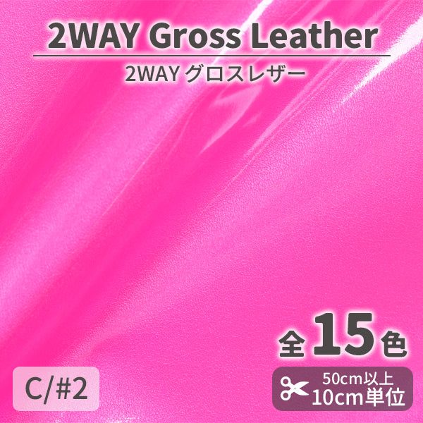 CS1010　2WAYグロスレザー　2
