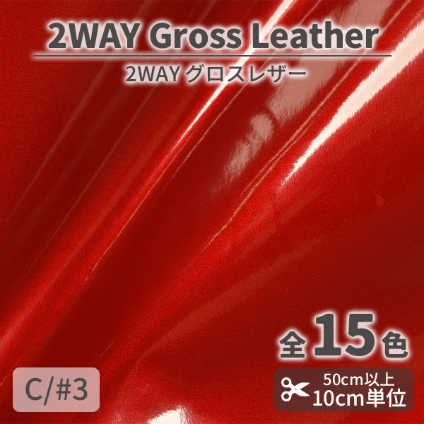 CS1010　2WAYグロスレザー　3