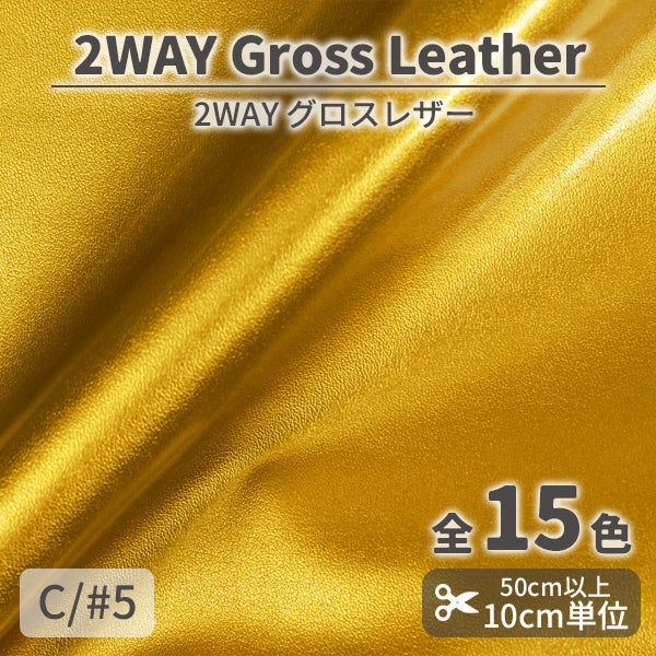 CS1010　2WAYグロスレザー　5