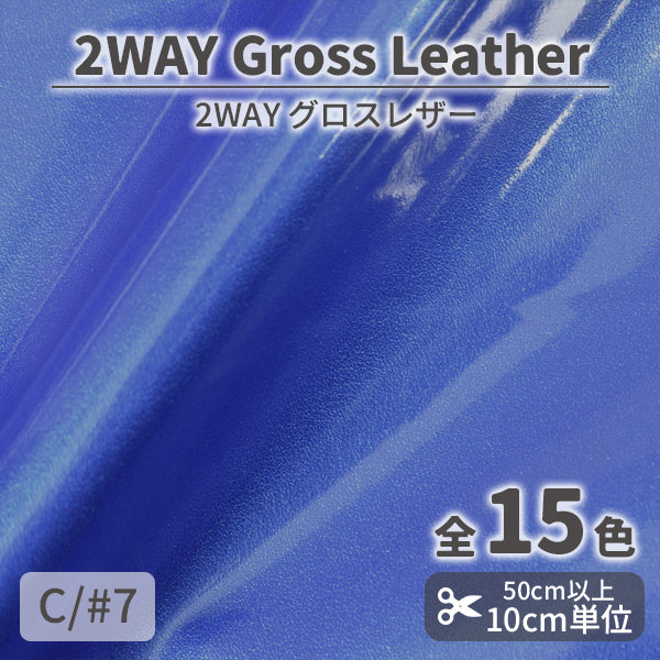CS1010　2WAYグロスレザー　7