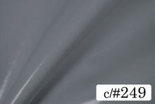画像をギャラリービューアに読み込む, CS1017　2WAY エナメル　249

