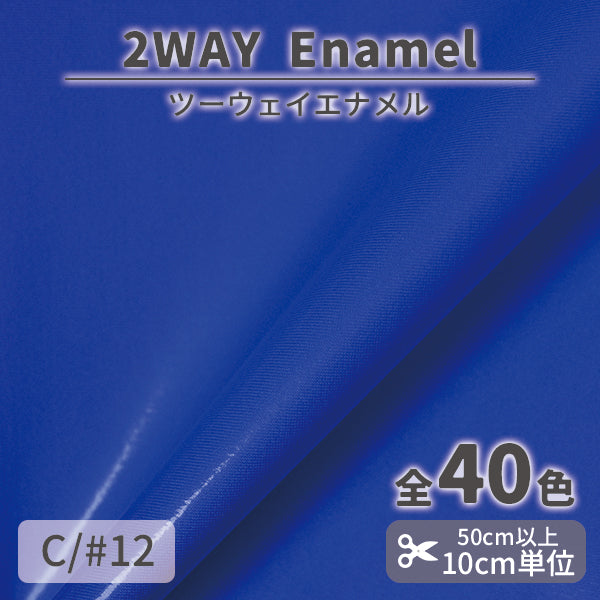 CS1017　2WAY エナメル　12