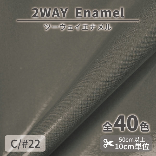 CS1017　2WAY エナメル　22