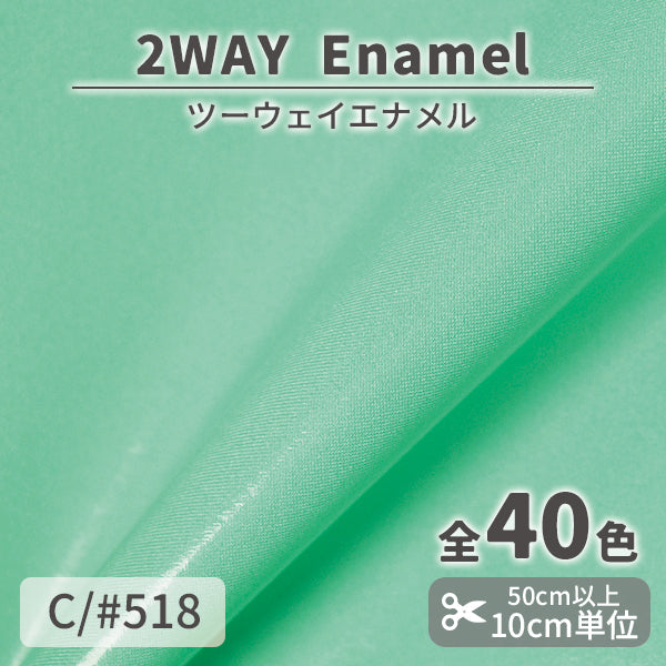 CS1017　2WAY エナメル　518