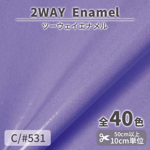 CS1017　2WAY エナメル　531