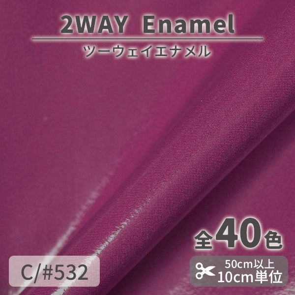 CS1017　2WAY エナメル　532