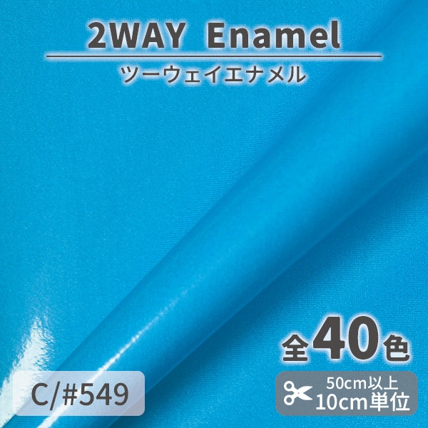 CS1017　2WAY エナメル　549