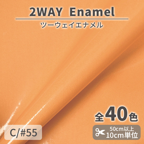 CS1017　2WAY エナメル　55