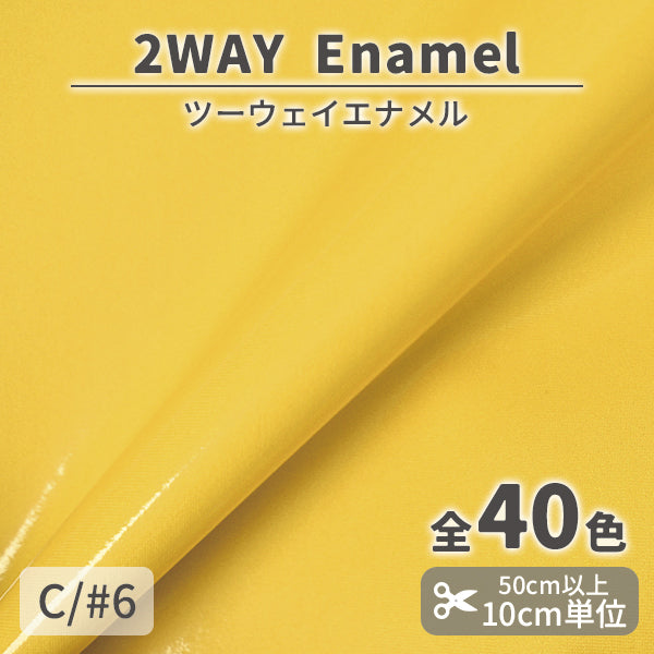 CS1017　2WAY エナメル　6