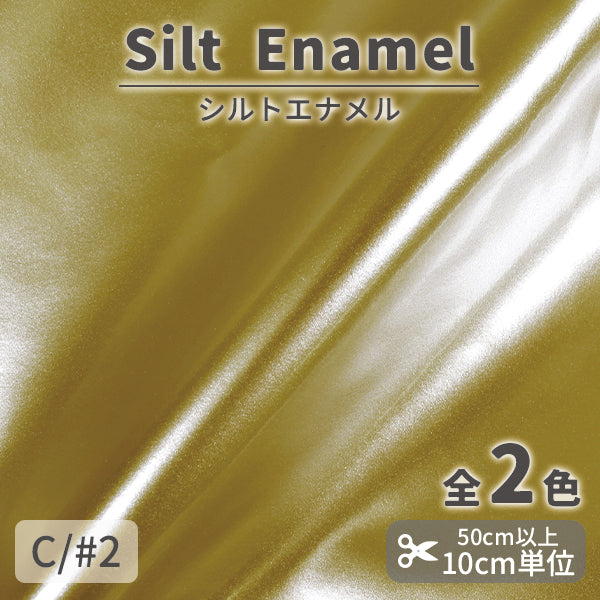 CS1294　シルトエナメル　2