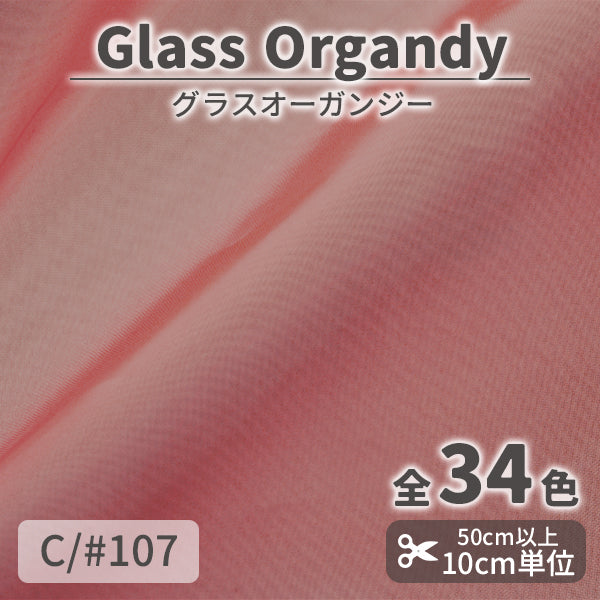 CS2023　グラスオーガンジー　107