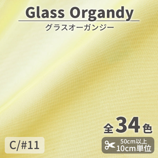 CS2023　グラスオーガンジー　11