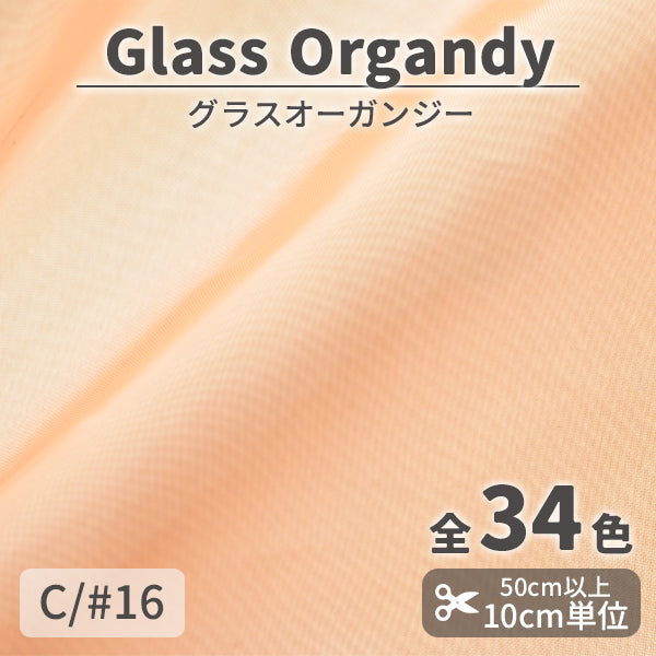 CS2023　グラスオーガンジー　16