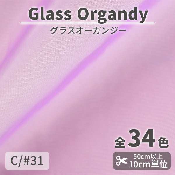 CS2023　グラスオーガンジー　31