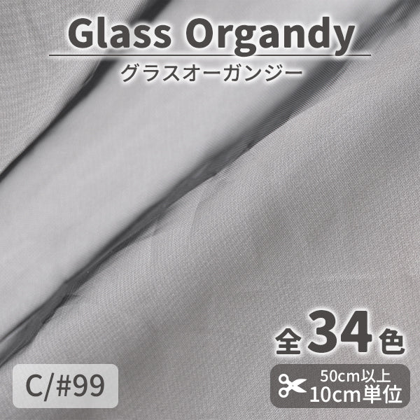 CS2023　グラスオーガンジー　99