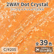 画像をギャラリービューアに読み込む, CS933　2WAYドットクリスタル　205
